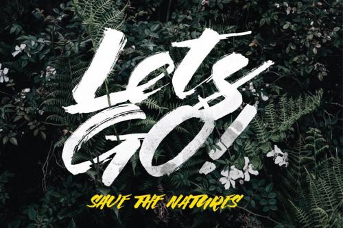 The Flower City Script Font 1