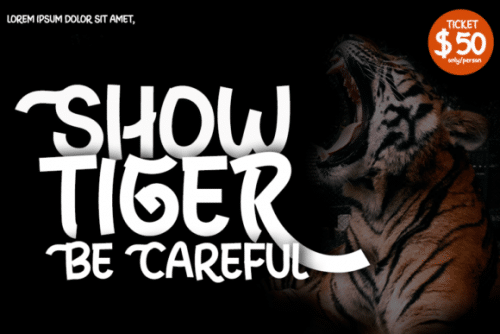 The Raink Display Font 7