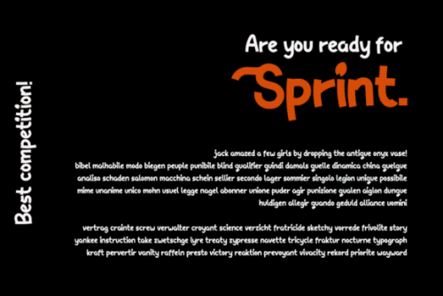 The Raink Display Font 8