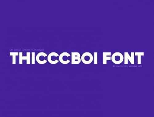 Thicccboi Sans Font Family