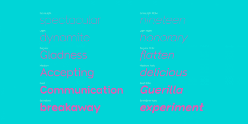 Toriga Font Family 24