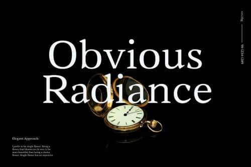Vanio 10 Fonts Wedge Serif Family 10