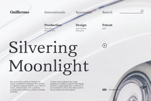 Vanio 10 Fonts Wedge Serif Family 15