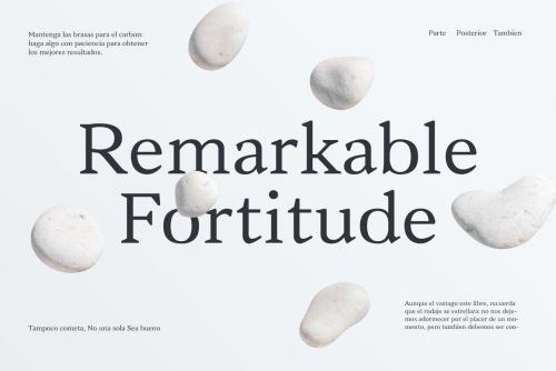 Vanio 10 Fonts Wedge Serif Family 2