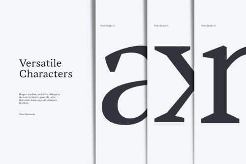 Vanio 10 Fonts Wedge Serif Family 4