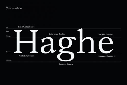 Vanio 10 Fonts Wedge Serif Family 5