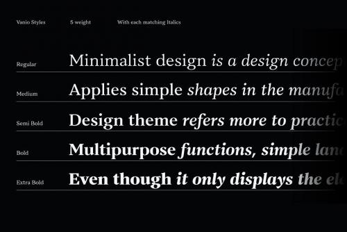 Vanio 10 Fonts Wedge Serif Family 6