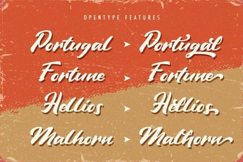 Vintage Style Script Font 9