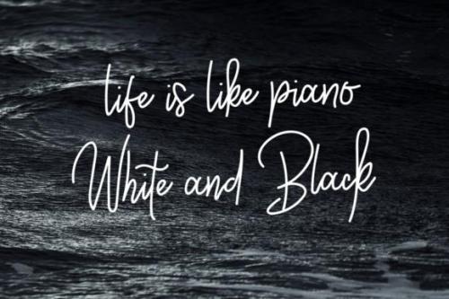 Westey Signature Font 4