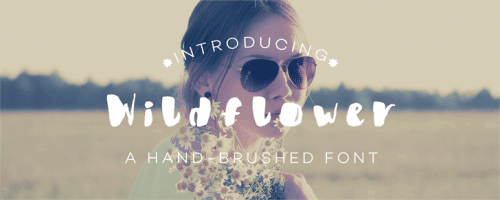 Wildflower Font