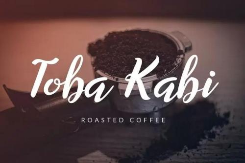 Willynta Script Font 3