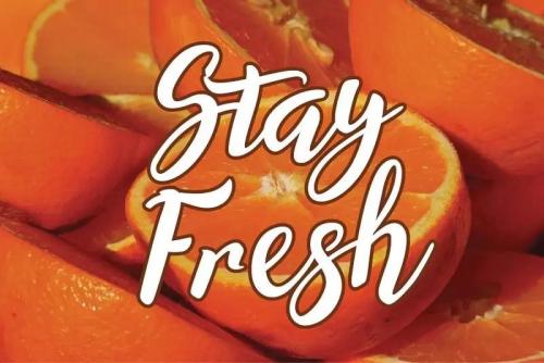 Willynta Script Font 6