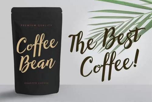 Willynta Script Font 8