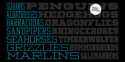 Winner Cond Regular Font 6