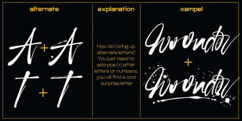 Woonder Script Font 7