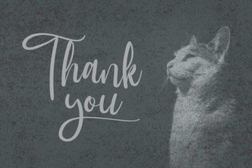 Wubby Kitten Font 12