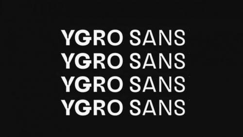 Ygro Sans Serif Font Family 1