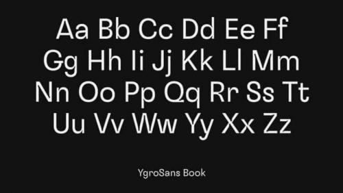 Ygro Sans Serif Font Family 4