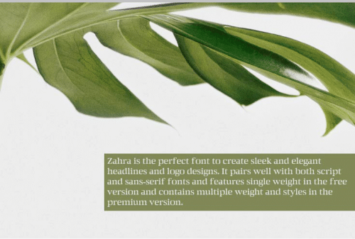 Zahra-Serif-Font-2