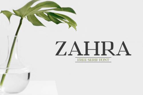 Zahra Serif Font