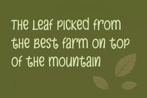 Zebudabi Display Font 6