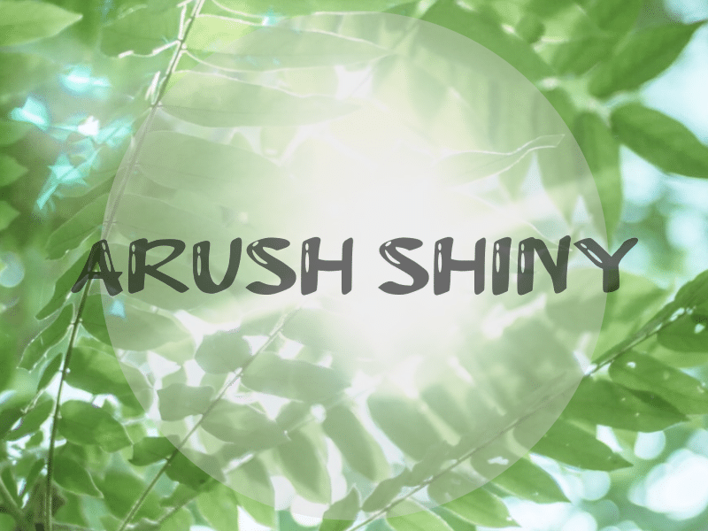 A Arush Shiny Font 1