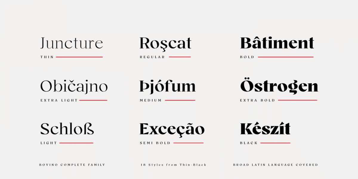 Bovino Trial Serif Font Family 4