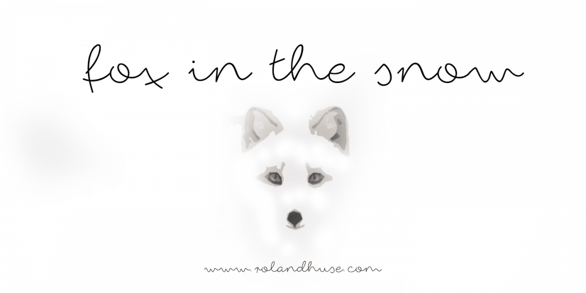 Fox In The Snow Font