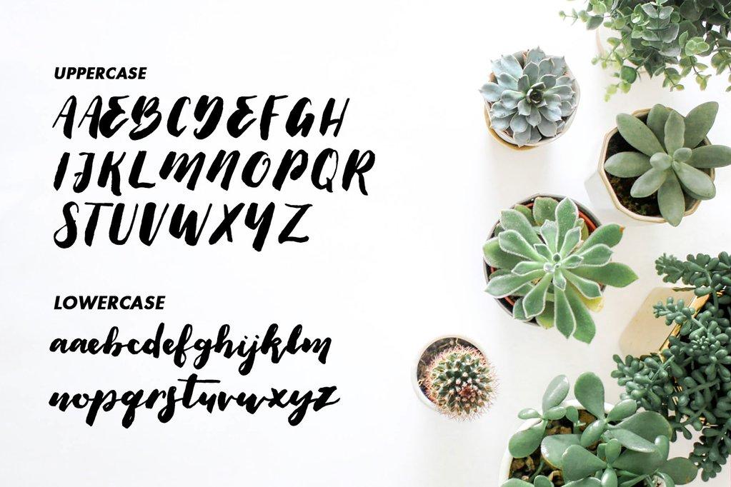 Thick Brush Font 3