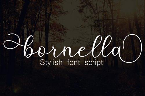 Anisha Calligraphy Font 5