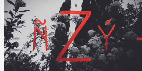 Aracne Font 12