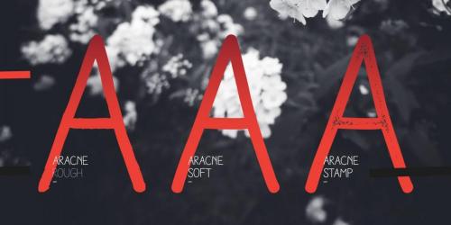 Aracne Font 6