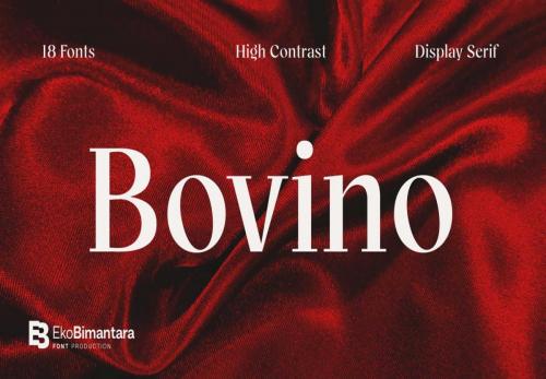 Bovino-Trial-Serif-Font-Family-0