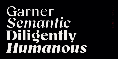 Bovino Trial Serif Font Family 1