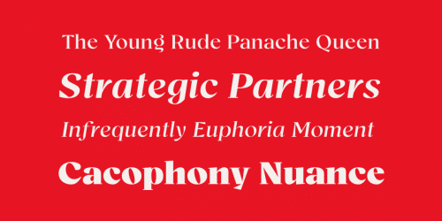 Bovino Trial Serif Font Family 3