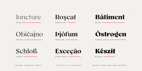 Bovino Trial Serif Font Family 4