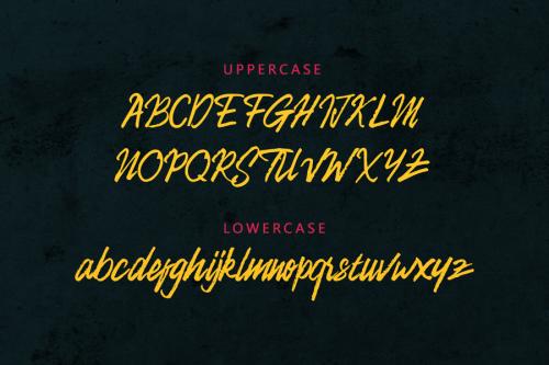 Camellion Font 2