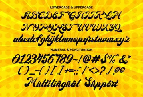 Christmas Time Script Font 9