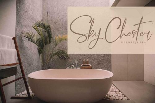 Confidently Handwritten Font 5