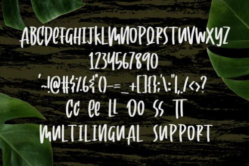 Cooless Brush Font 5