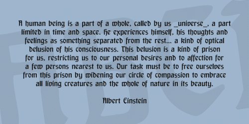 DS Behrensschrift Font 3