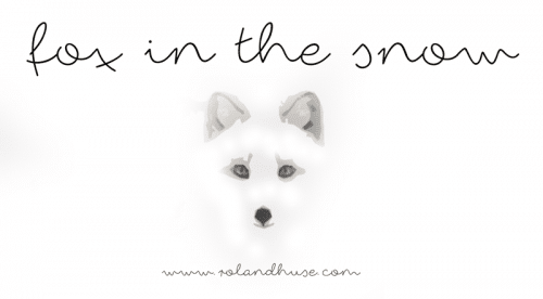 Fox In The Snow Font 1