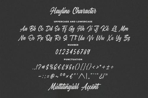 Hayline Font 10