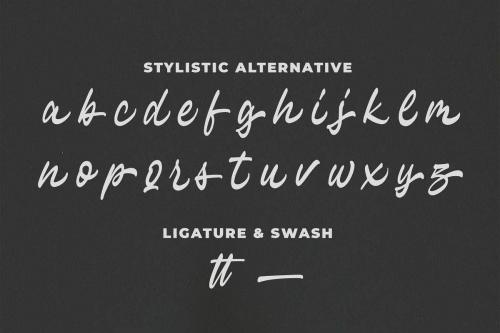 Hayline Font 9