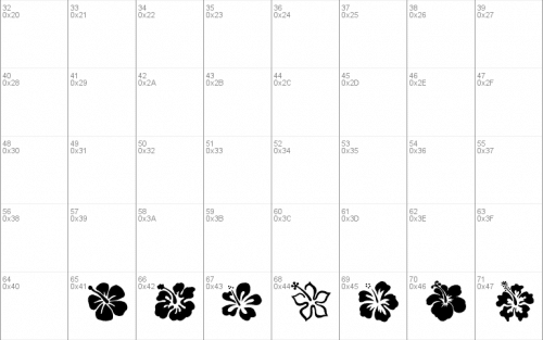 Hibiscus Font 1