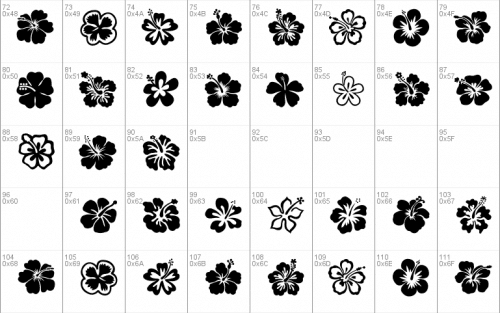 Hibiscus Font 2