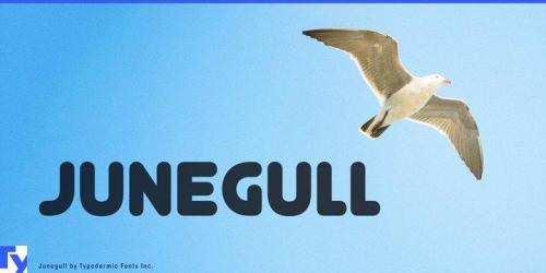 Junegull Font 1