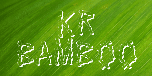KR Bamboo Font 1
