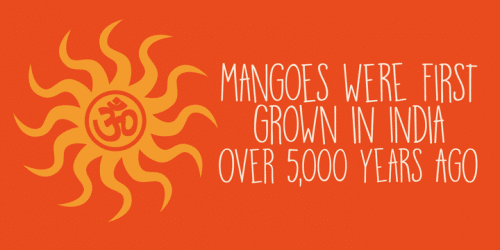 Mango Smoothie Font 3