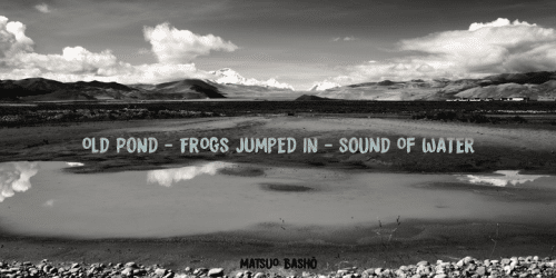 Modern Brush Font 5